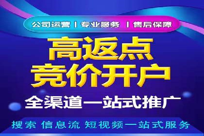 SEM竞价优化技巧：案例解析提升广告投放效果